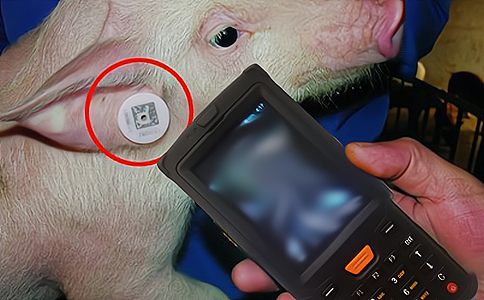 RFID(yng)iB(yng)ֳ(dng).jpg